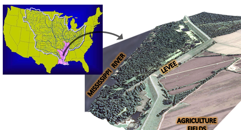Levee Failure Identification for the U.S. Army Corps of Engineers, NASA — Vicksburg, USA